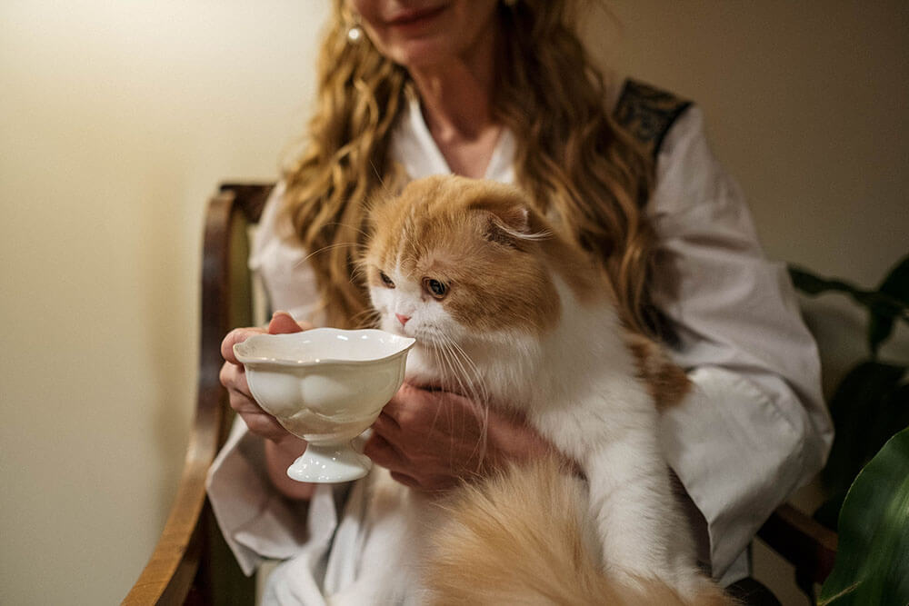 Women doing Lap feeding to reduce a cat's anxiety