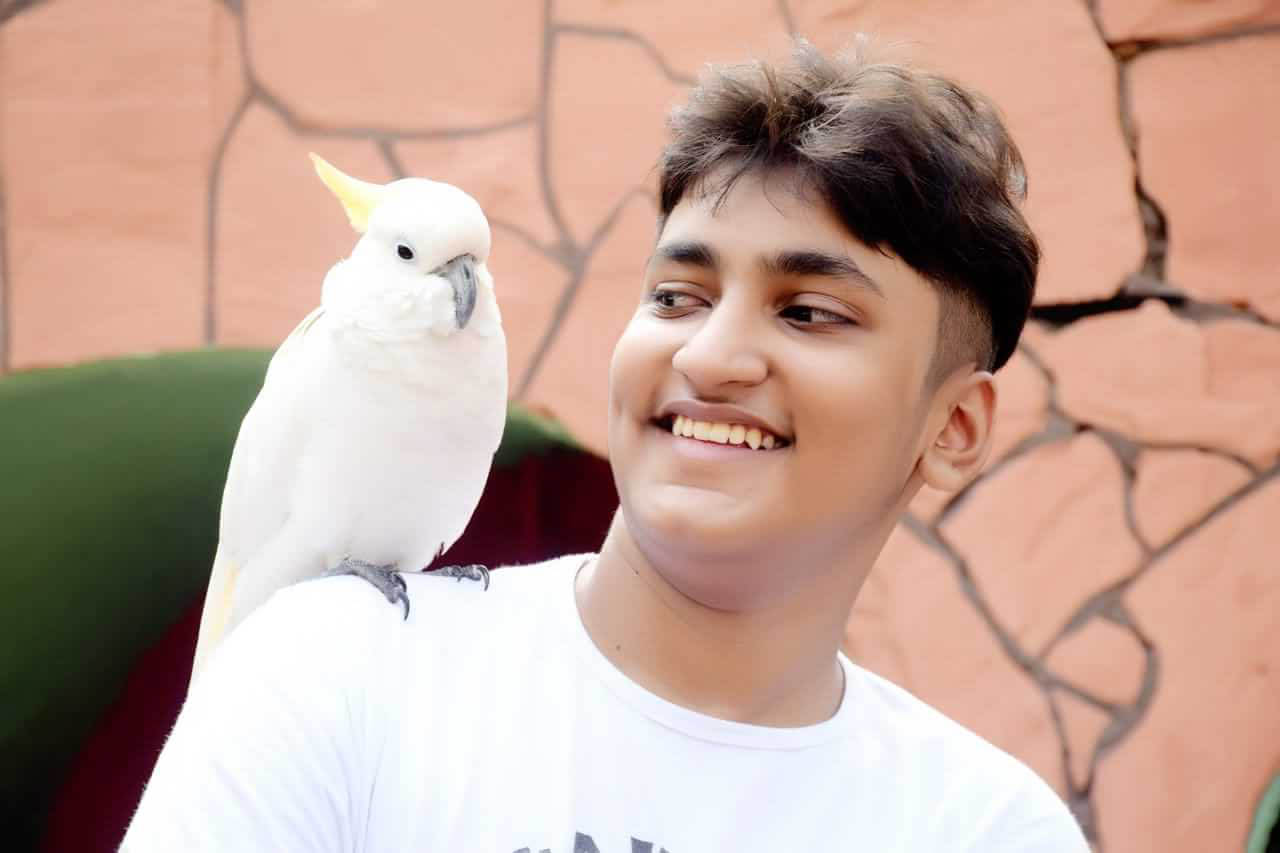 A boy smiling at white Cockatoo parrot to show his love about pets. The satisfaction at boy's face shows the importance of knowing about pet care and behavior guides