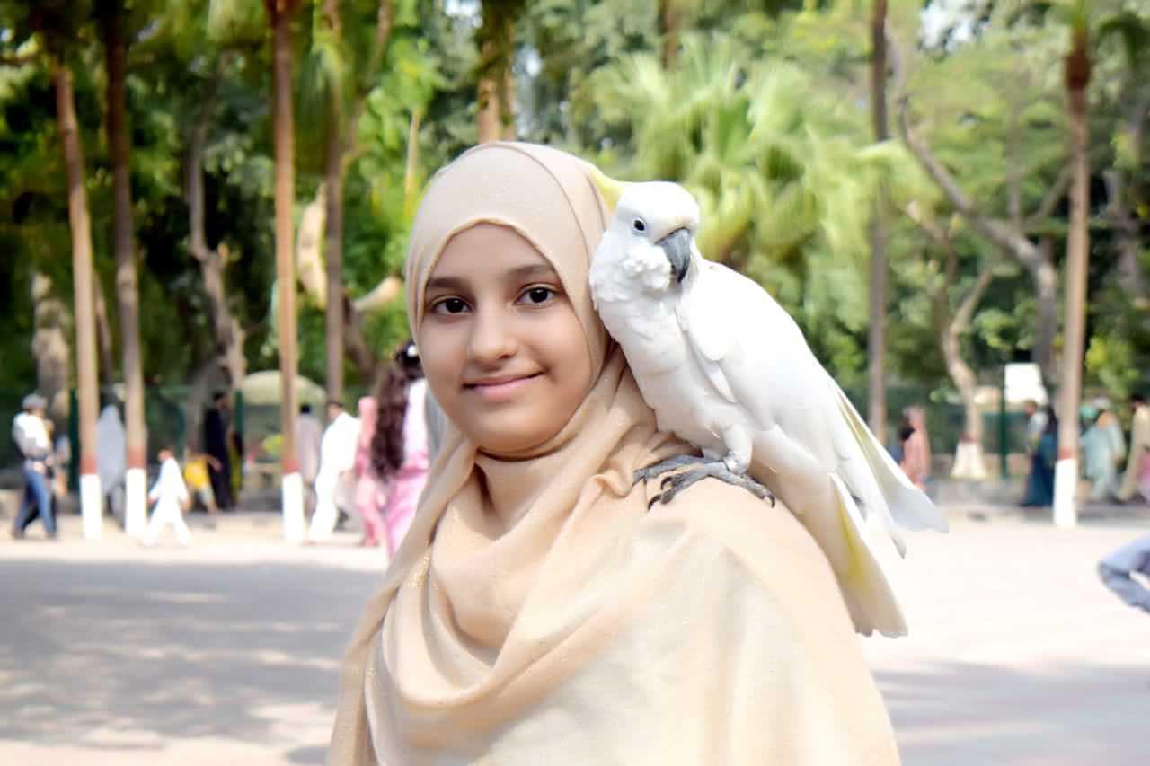 Cute little girl with her pet Cockatoo