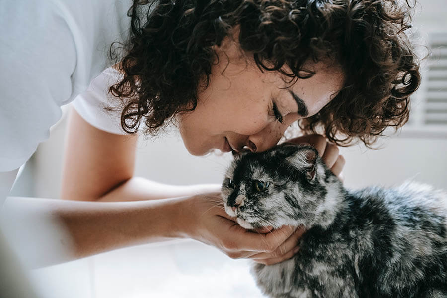 A women calming her cat to clean its ears 